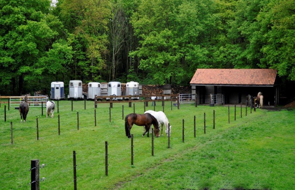 B&B De Edelsteen Zutendaal Esterno foto
